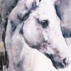 White Stallion Wall Art - Stunning Horse Print for Home Decor