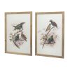 S/2 Bird Framed Print, 19.5x27.5"