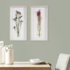 Dried Flower 2-piece Shadow Box Wall Decor Set