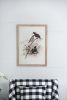 S/2 Bird Framed Print, 19.5x27.5"