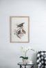 S/2 Bird Framed Print, 19.5x27.5"