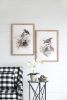 S/2 Bird Framed Print, 19.5x27.5"