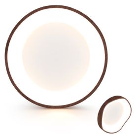 Modern Simple 24W LED Mount Ceiling Light (Type: Ceiling Light, Color: Brown)